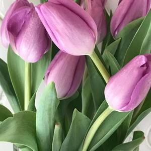 Meet your Posher, Deb